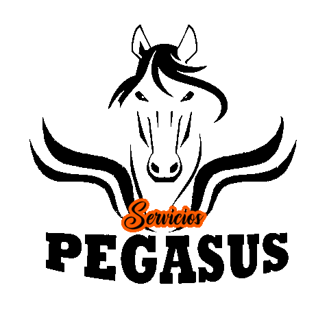 Empresa Servicios Sticker by Pegasus Soluciones