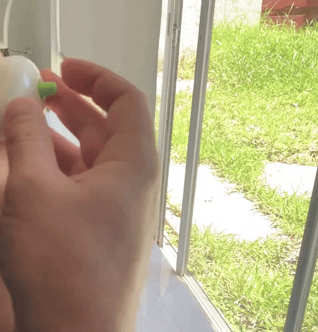 hayimpinson giphygifmaker GIF