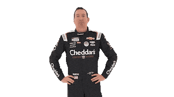 Kyle Busch Thumbs Up Sticker by Richard Childress Racing