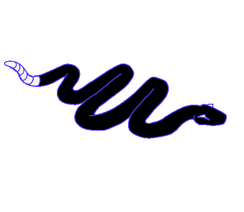 Snake Slither Sticker by Shane Beam