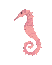 Water Sea Sticker by stych