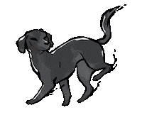 Black Dog Cat Sticker