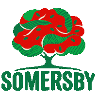 Summer Sunset Sticker by Somersby PT
