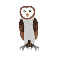 Bird Owl Sticker by VJ Suave