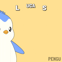 Penguin Lucas GIF by Pudgy Penguins