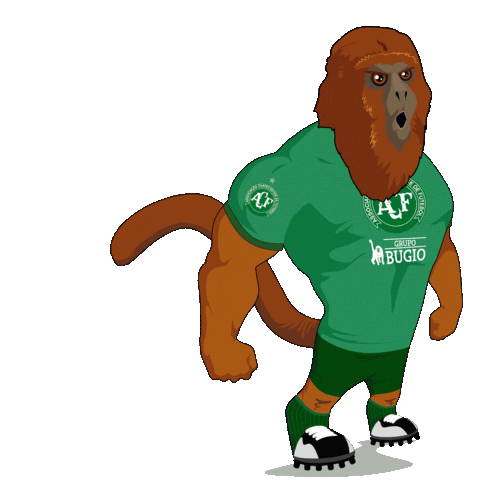 grupobugio giphyupload chapecoense grupobugio grupobugiochapeco Sticker