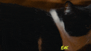 Pride Lgbt GIF by Flunk (Official TV Series Account)