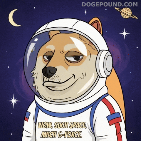 Shiba Inu Wow GIF by Doge Pound