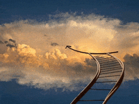 GIF by FranchiseONE.de