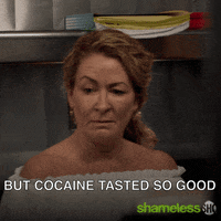 Episode 8 Showtime GIF by Shameless