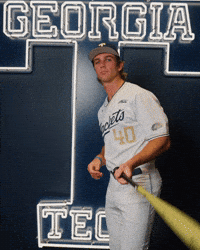 Georgia Tech Baseball GIF by Georgia Tech Yellow Jackets