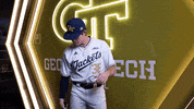 Georgia Tech Baseball GIF by Georgia Tech Yellow Jackets