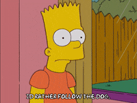 bart simpson GIF