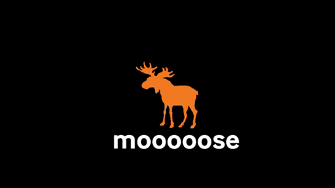 bigmoosecharity giphygifmaker moose bigmoose orangemoose GIF