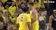 March Madness GIF by Michigan Athletics