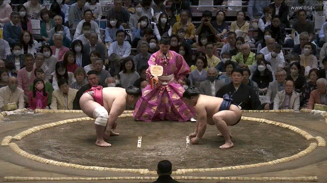 TZ85 giphyupload sumo 2023 natsu basho hiradoumi GIF