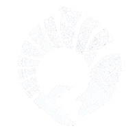 Bluefin Sticker