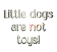 Small Dogs Rainbow Sticker