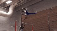 Perfect Loops GIF by giphydiscovery