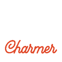 Tclootd Sticker by The Closet Lover