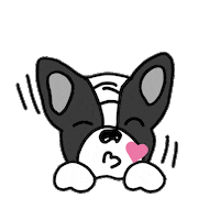 Dog Love Sticker by Ivo Adventures