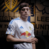 Premier League James GIF by Leeds United