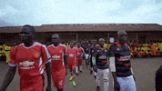 GIF by VICE WORLD OF SPORTS