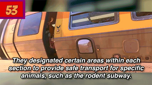 disney animation GIF by Channel Frederator