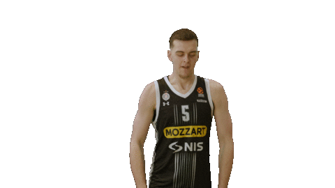 Partizan Sticker by sportmts