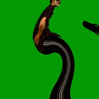 DrewSunn thicc drew stolen sunn GIF