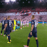 1 Fc Cologne Football GIF by 1. FC Köln