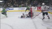 Landon Sim GIF by London Knights