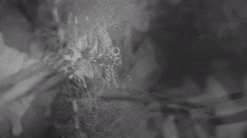 Heavy Metal GIF by Machine Head