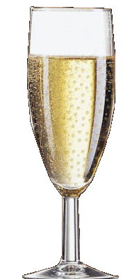 Champagne Congratulations Sticker