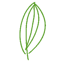 Naturnaht leaf pure natur blatt Sticker