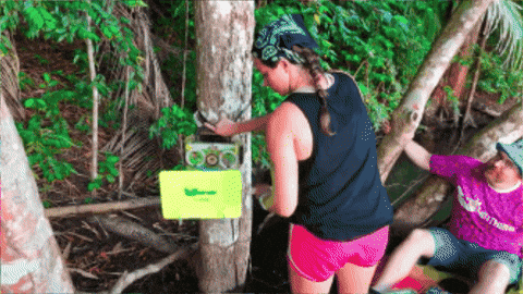 andrewquitmeyer giphygifmaker open science mothbox GIF