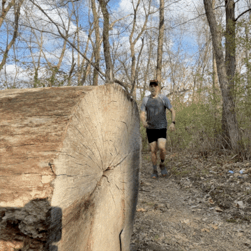 trchandler giphyupload running victory good luck GIF