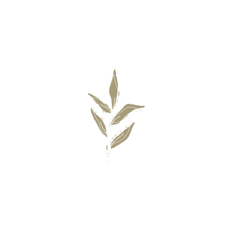 Women Wow Sticker by WIDAC