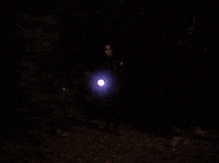 Season 2 Episode 22 GIF by Twin Peaks on Showtime
