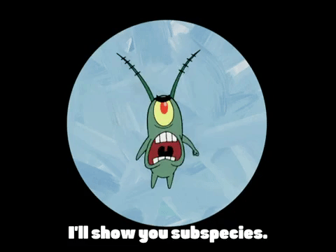 season 4 GIF by SpongeBob SquarePants