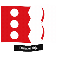 Bandera Cordoba Sticker by Formación Ninja
