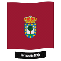 Castilla Y Leon Flag Sticker by Formación Ninja