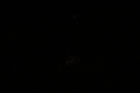 youre not elected charlie brown GIF by Peanuts