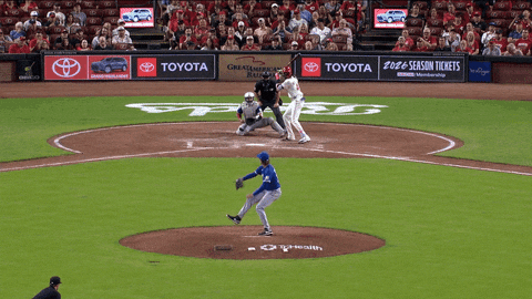Blue Jays Baseball GIF by Toronto Blue Jays