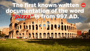 Pizza Facts GIF by BuzzFeed