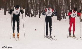 ski fail GIF