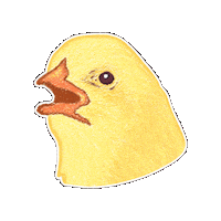 Skz Felix Sticker