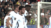 Three Lions Football GIF by England