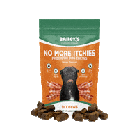 Dog Pug Sticker by Bailey's CBD