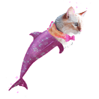 Cat Sparkling Sticker